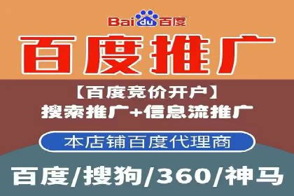 行业领先的SEM投放效果案例解析